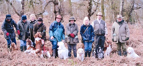 Gill at a Show Spaniel Working Event